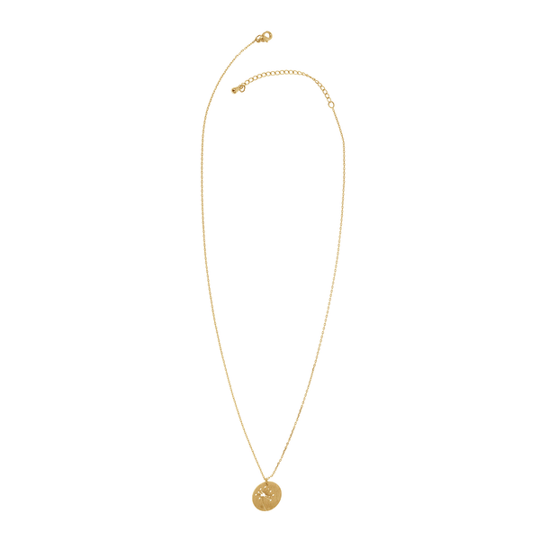 Dandelion Wish Necklace