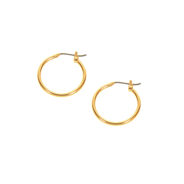 Small Hoop Earrings