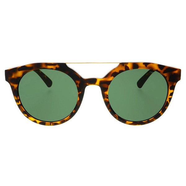 Collins Matte Tortoise Shell Sunglasses